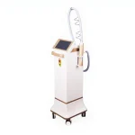 Tattoo Removal Machine