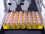 5 Station Egg Inkjet Coding Machine - Image 6