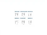 Novo Bag Sacks - Image 2