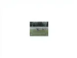 140x140 cm Goalkeeper and Player Training Frame - Image 3
