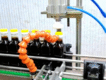 Screw Cap Capping Machine