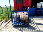 Group Weighing Scale for Small Livestock - Image 5