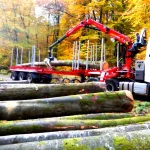 5940 Kg (10.3 Mt.) Log Loading Mobile Crane