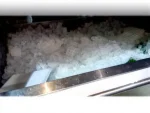 1000 Kg Cube Ice Machine - Image 6