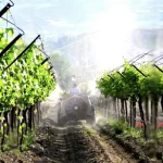 2000 Liter Polyester Tank Trailed Type Turbo Atomizer