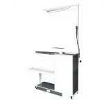 Steam-Free Vacuum Stain Removing Machine