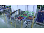 Tomato Sorting and Packaging Line - Image 9