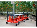 Gençgüçsan Greenhouse Harvesting Cart