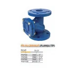 Wastewater Bulk Type Check Valve