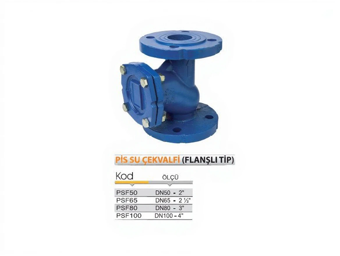b57b76w69nrmt0cv9zf9vyp2mr Wastewater Bulk Type Check Valve - Image 1
