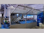 Water Bottle Filling Line - 1000-2500 Bottles/hour - Image 5