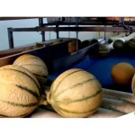 Melon Watermelon Slicing Packaging Machine