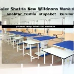 Two Output Fully Automatic Steam Boiler