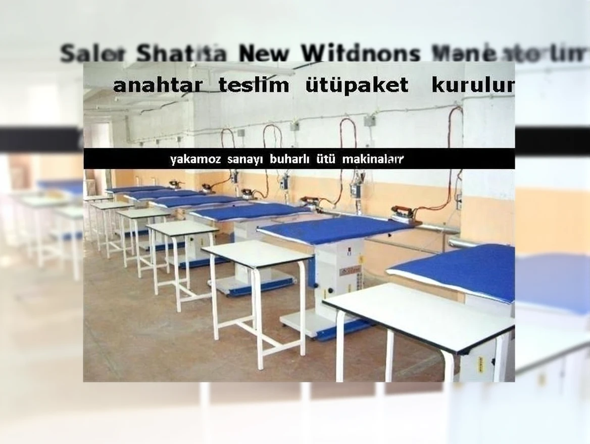 bfhz5pfy39rmy0cvsx0t3t5hqw Two Output Fully Automatic Steam Boiler - Image 1