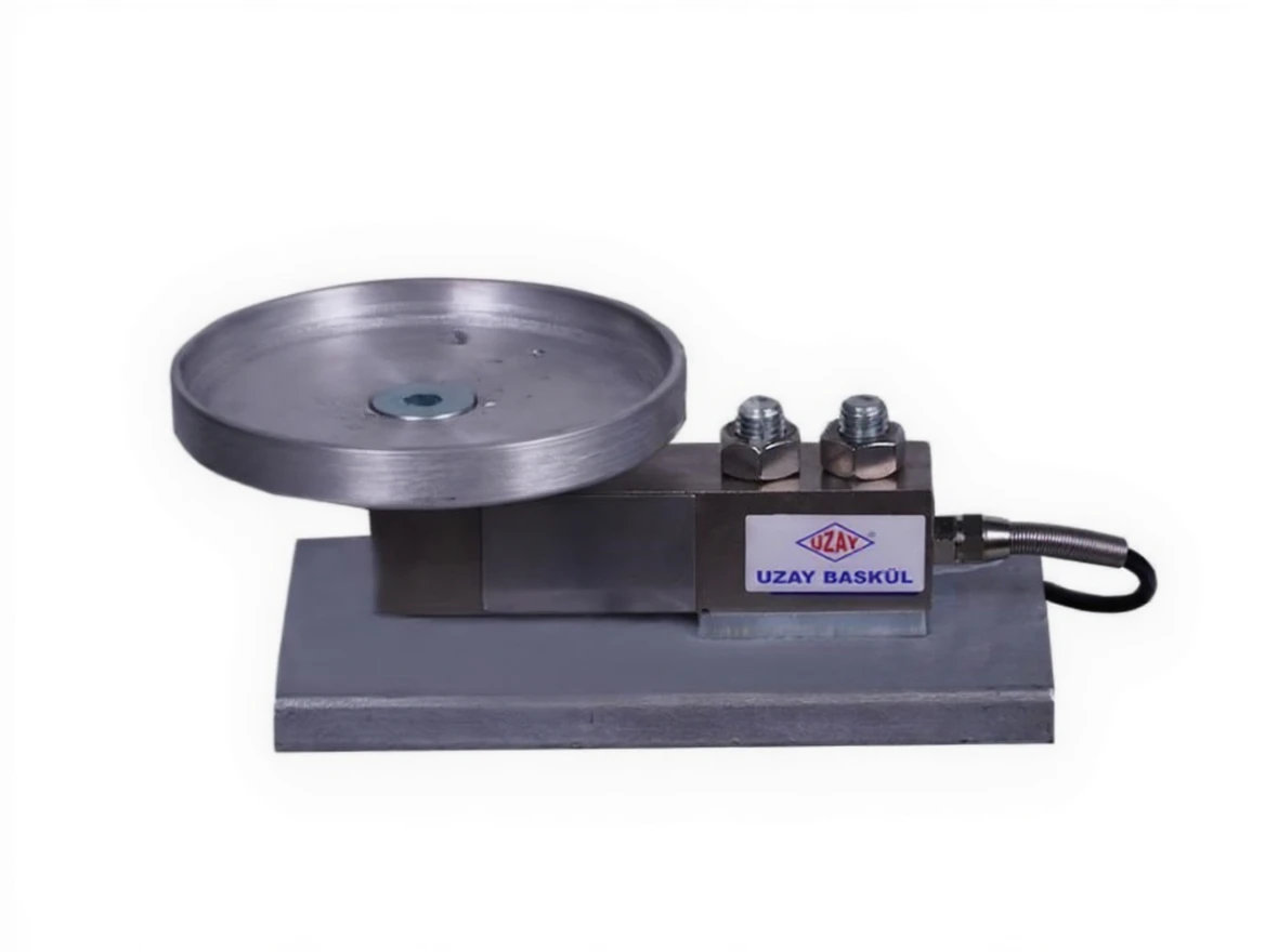 bjsf3a7qrxrma0cv165r1fhner Under-Tank Weighing Systems - Image 1