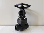 DN15 – DN50 High Pressure Manual Gate Valve
