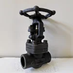 DN15 – DN50 High Pressure Manual Gate Valve