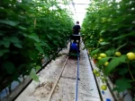 70 Meters / Minute Greenhouse Sprayer - Image 2
