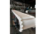 Horizontal PVC Elevator Conveyor