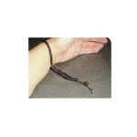 Art 9816 Referee Whistle Cord