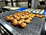 Stone-Based Tubular Oven and Robot Automation System Hourly Production Capacity 1120 Pieces - Image 10