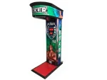 Luxury Model Boxing Machine - Image 2