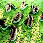 Art CAT Tactical Training Band