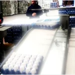 Conveyor Belting Egg Collection Machine