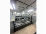 Two Axis Conveyor Automatic Painting Line - Image 3