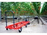 Gençgüçsan Greenhouse Harvesting Cart - Image 2