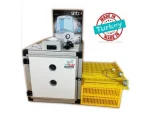 Full+Full Automatic Incubator Machine Ay-84