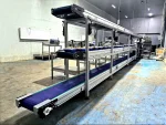 Vegetable Fruit and Product Selection Sorting Conveyor - Conveyor Belt System