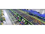Citrus Packaging and Grading Machine - Image 3