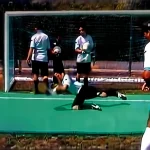 Art T10033 Goalkeeper Jump Trainer Mat