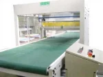 Automatic Shrink Wrapping Machine