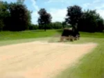 2.5-12 M Topdresser - Pull Type Motorized Topdressing Machine for Turf - Image 4
