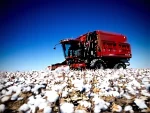 Cotton harvester / Case Ih 620 Cotton Express - Image 3