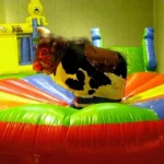 4.5 Meter 175 cm Rodeo Machine