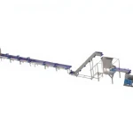 300-600 Kg/H Fruit Processing Production Line