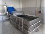 1000-1500 Kg/Hour Fruit Vegetable Washing Machine
