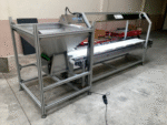 Selection Control Conveyor / Food Sorting Conveyor - Image 3