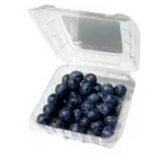 Blueberry Packaging and Sorting Machine