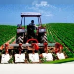 Fretted 5 Row Inter-Cultivator