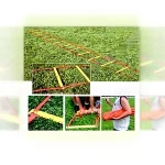 6 Meter Speed and Coordination Ladder