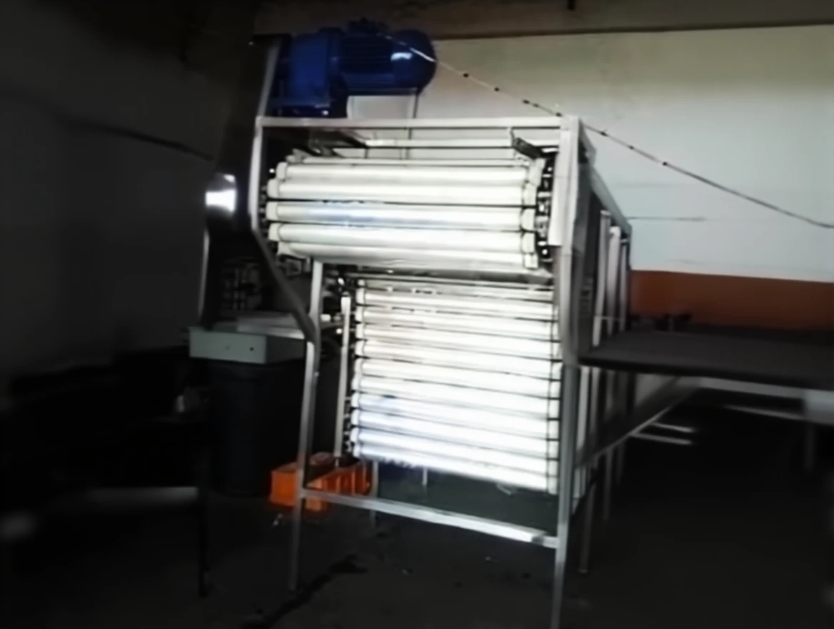 ghh1rpqnz1rmr0cvd1081bb3j4 200 Tons / Day (Tomato) Fruit and Vegetable Sorting Conveyor - Image 1