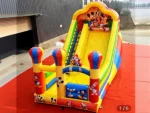 Giant Slide - Image 3