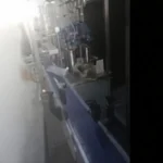 Servo System Label Clamping and Horizontal Filling Machine with 6-4 Nozzles