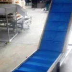 Inclined Food Conveyor