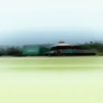 2.5-12 M Topdresser - Pull Type Motorized Topdressing Machine for Turf