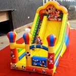 Giant Slide Inflatable Play Parks